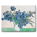 Irises as a canvas print from Historly – image 1