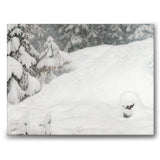 Snow som canvastavla från Historly – bild 1