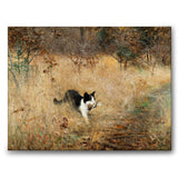 Cat hunting Birds as a canvas print from Historly – image 1