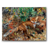 Foxes som canvastavla från Historly – bild 1