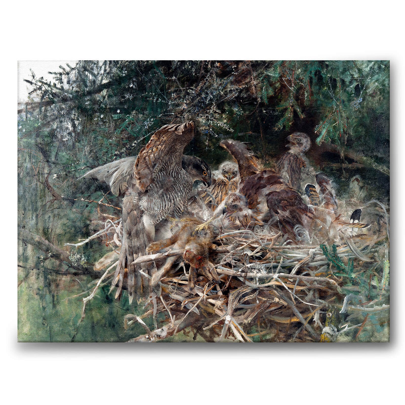 Hawk's Nest som canvastavla från Historly – bild 1