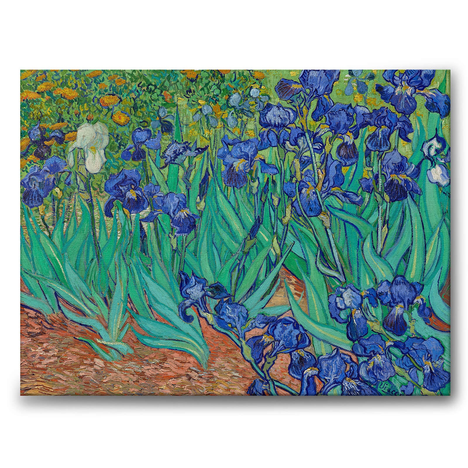 Irises som konstposter från Historly – bild 1
