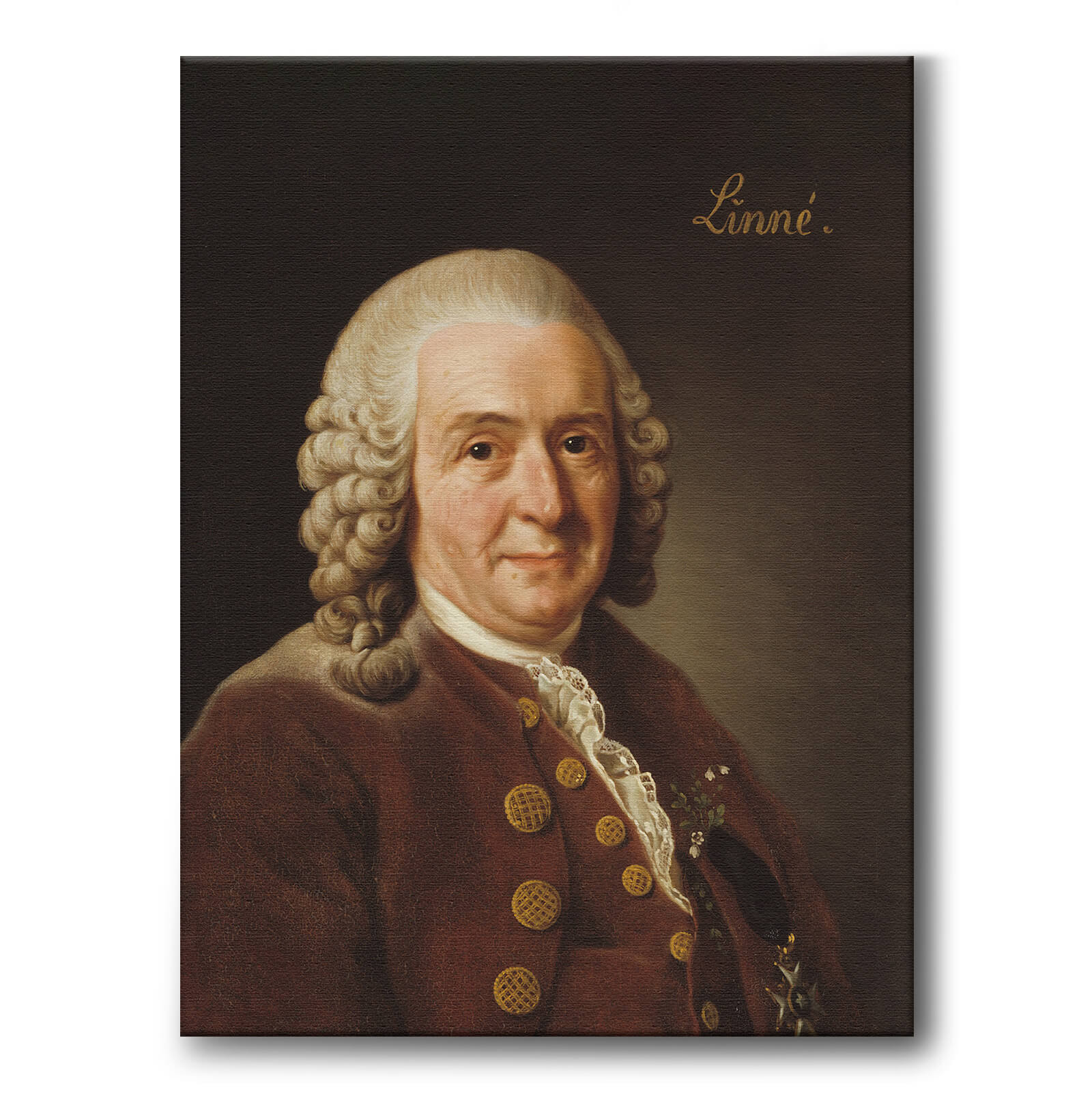 Carl von Linné som konstposter från Historly – bild 1