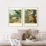 Cassel som vintageillustration och poster från Historly – bild 2