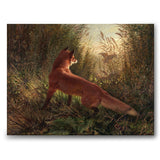 A Fox som konstposter från Historly – bild 1
