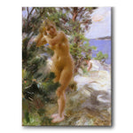 Efter Badet av Anders Zorn som poster från Historly – bild 1