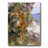 Efter Badet av Anders Zorn som poster från Historly – bild 1