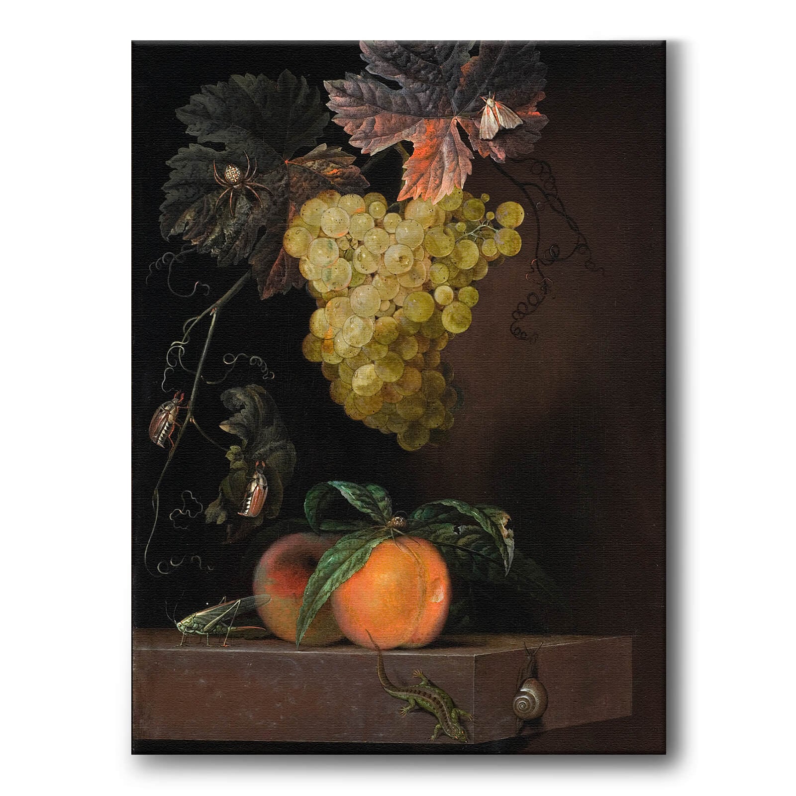Still Life with Fruit, Lizard and Insects som konstposter från Historly – bild 1