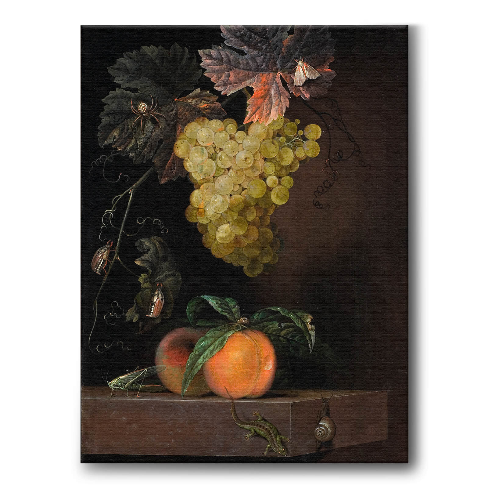 Still Life with Fruit, Lizard and Insects as an art poster from Historly – image 1