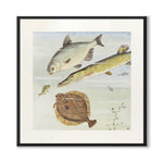 The Curious Perch as a poster for a children's room from Historly – image 1