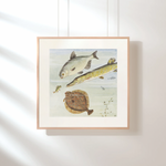 The Curious Perch as a poster for a children's room from Historly – image 2