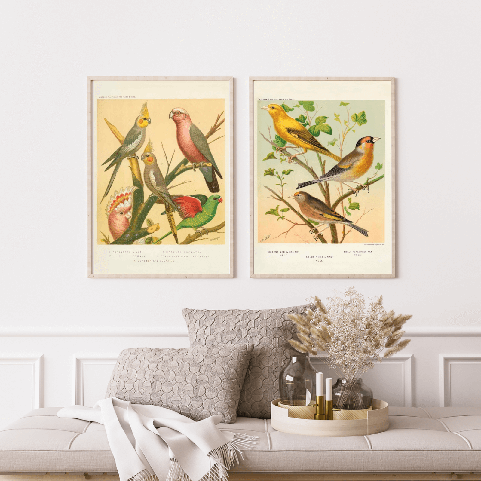 Cassel as a vintage illustration and poster from Historly – image 2