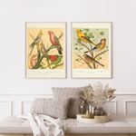Cassel som vintageillustration och poster från Historly – bild 2