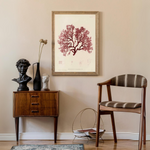 British Seaweeds 054 som vintageillustration och poster från Historly – bild 2