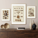 Seashells No.6 as a vintage illustration and poster from Historly – image 2