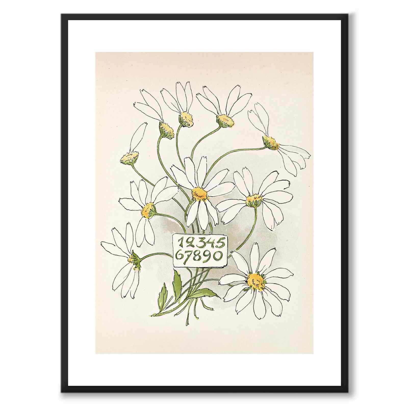 Siffror - Prinsarnes Blomsteralfabet av Ottilia Adelborg som konstposter från Historly – med vit kant utan titel