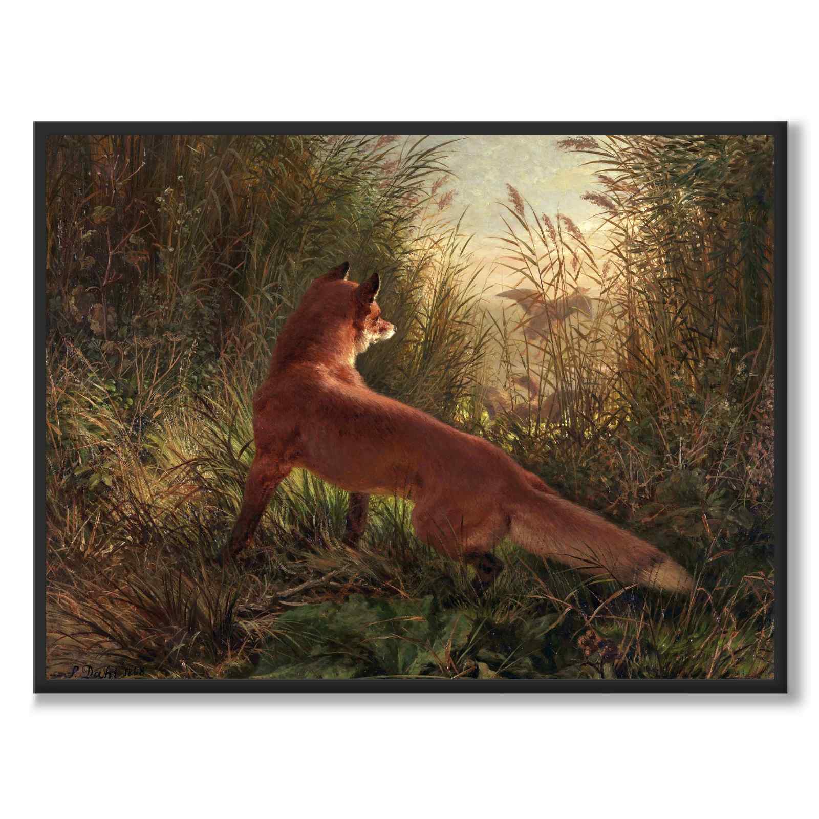 A Fox som konstposter från Historly – helbild utan vit kant