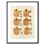 La Sellerie Camille No.9 as a vintage illustration and poster from Historly – with white border without title