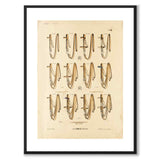 La Sellerie Camille No.33 as a vintage illustration and poster from Historly – with white border without title