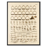 La Sellerie Camille No.44 as a vintage illustration and poster from Historly – full image without white border