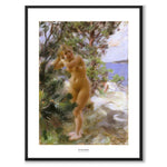 Efter Badet av Anders Zorn som poster från Historly – med vit kant och titel