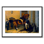 Carl XV's Favourite Horse Gentleman as an art poster from Historly – with white border without title