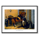 Carl XV's Favourite Horse Gentleman as an art poster from Historly – with white border and title