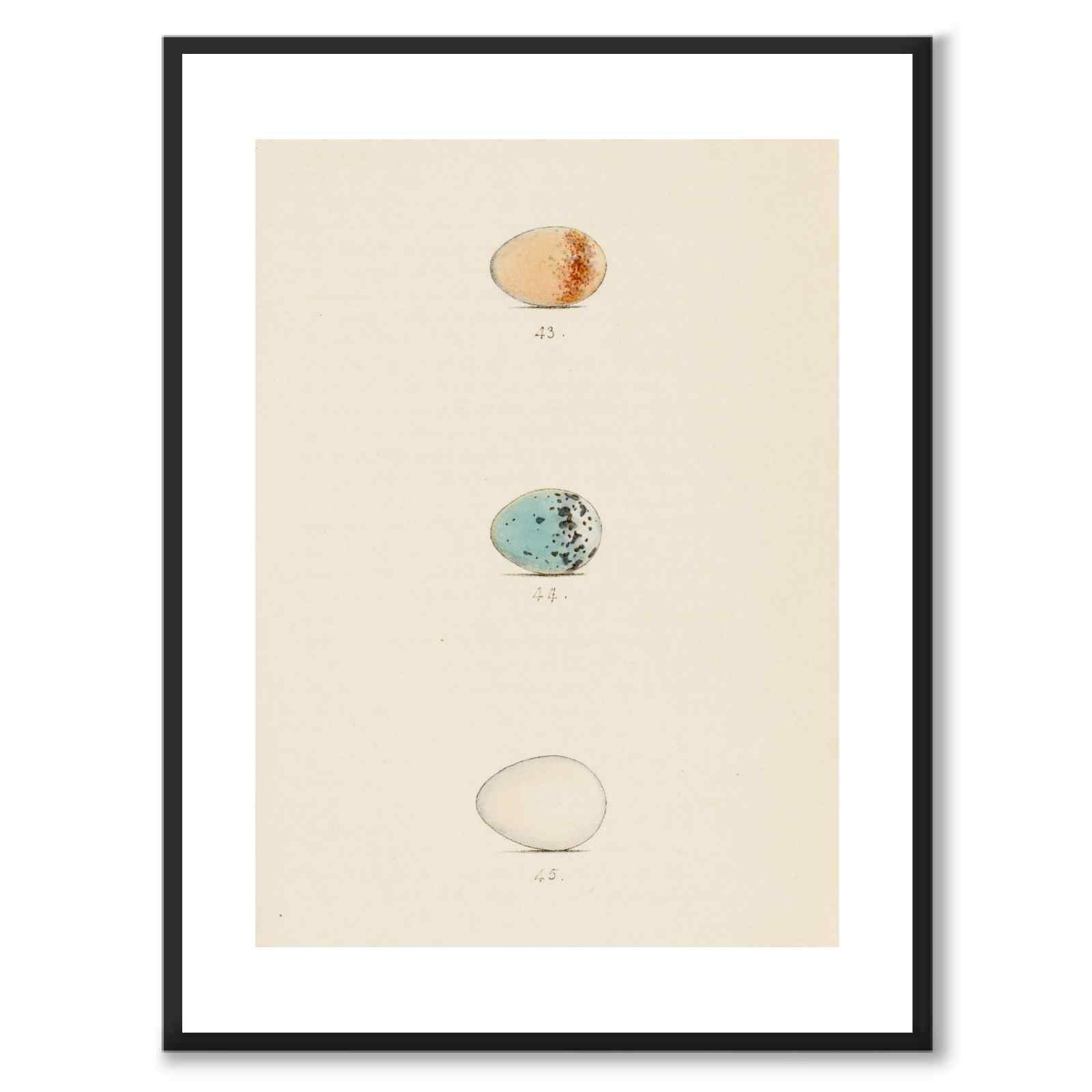 Meyer som vintageillustration och poster från Historly – med vit kant utan titel