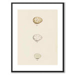 Meyer som vintageillustration och poster från Historly – med vit kant utan titel