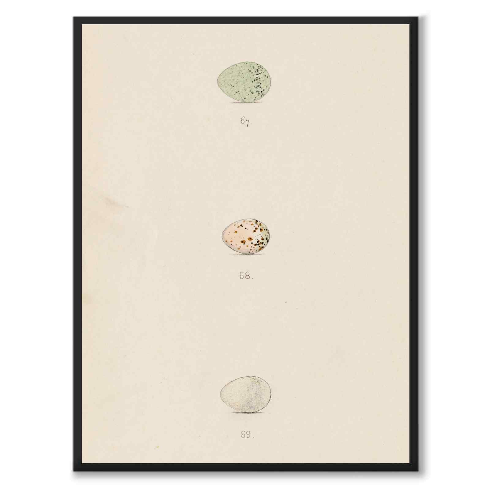 Meyer som vintageillustration och poster från Historly – helbild utan vit kant