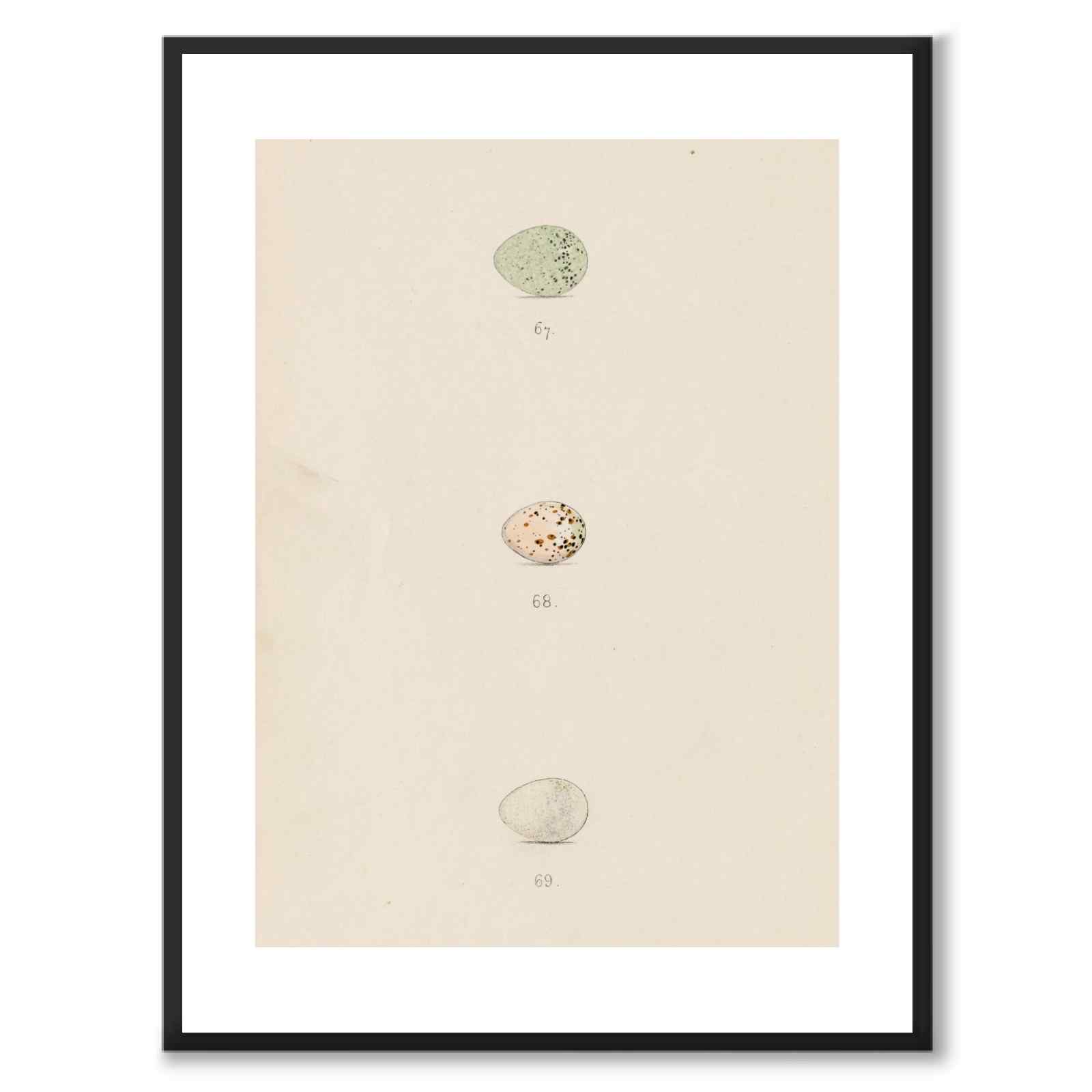 Meyer som vintageillustration och poster från Historly – med vit kant utan titel