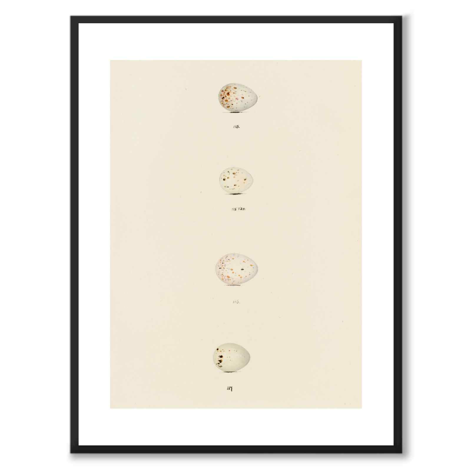 Meyer som vintageillustration och poster från Historly – med vit kant utan titel