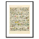 Okenplant as a vintage illustration and poster from Historly – with white border without title