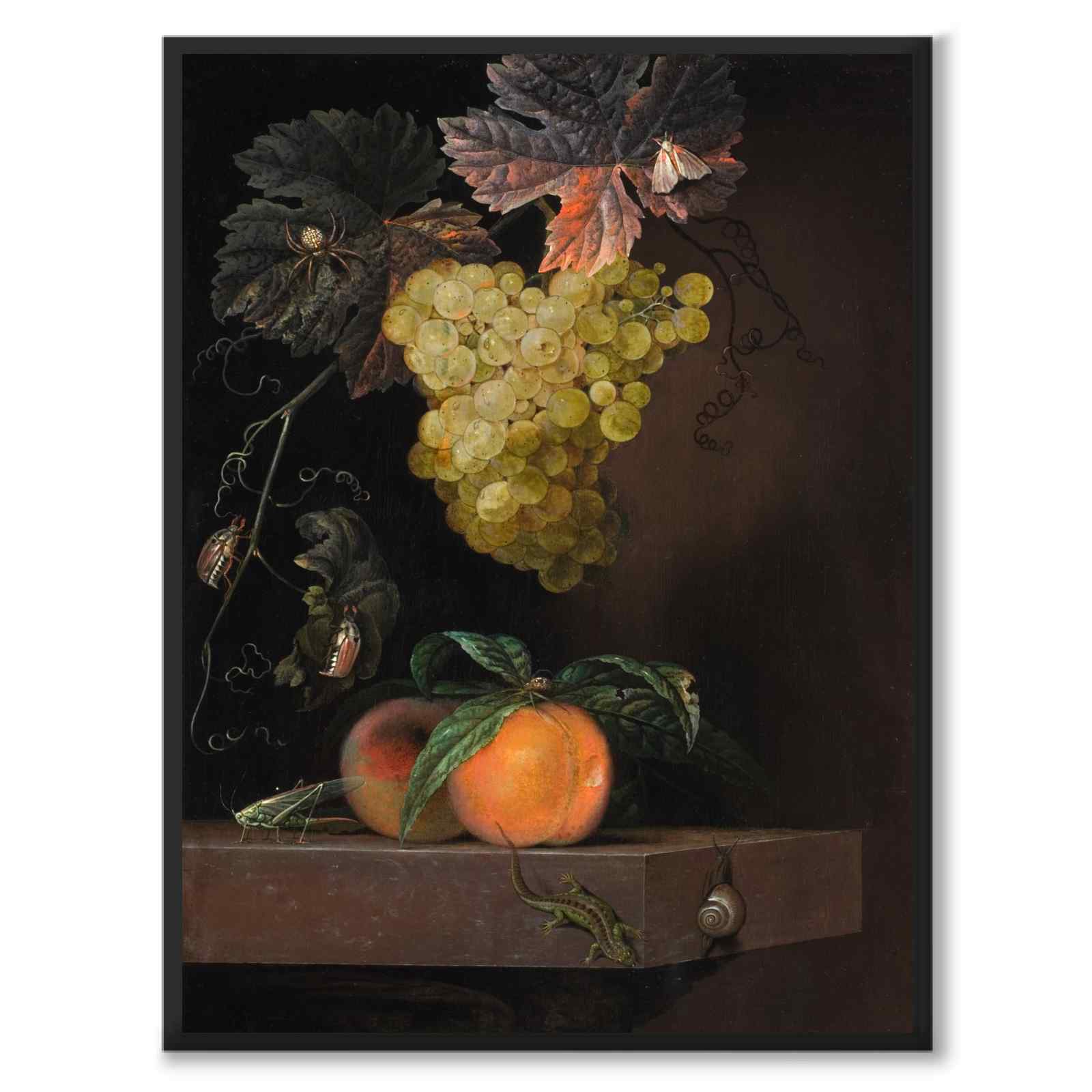 Still Life with Fruit, Lizard and Insects as an art poster from Historly – full image without white border