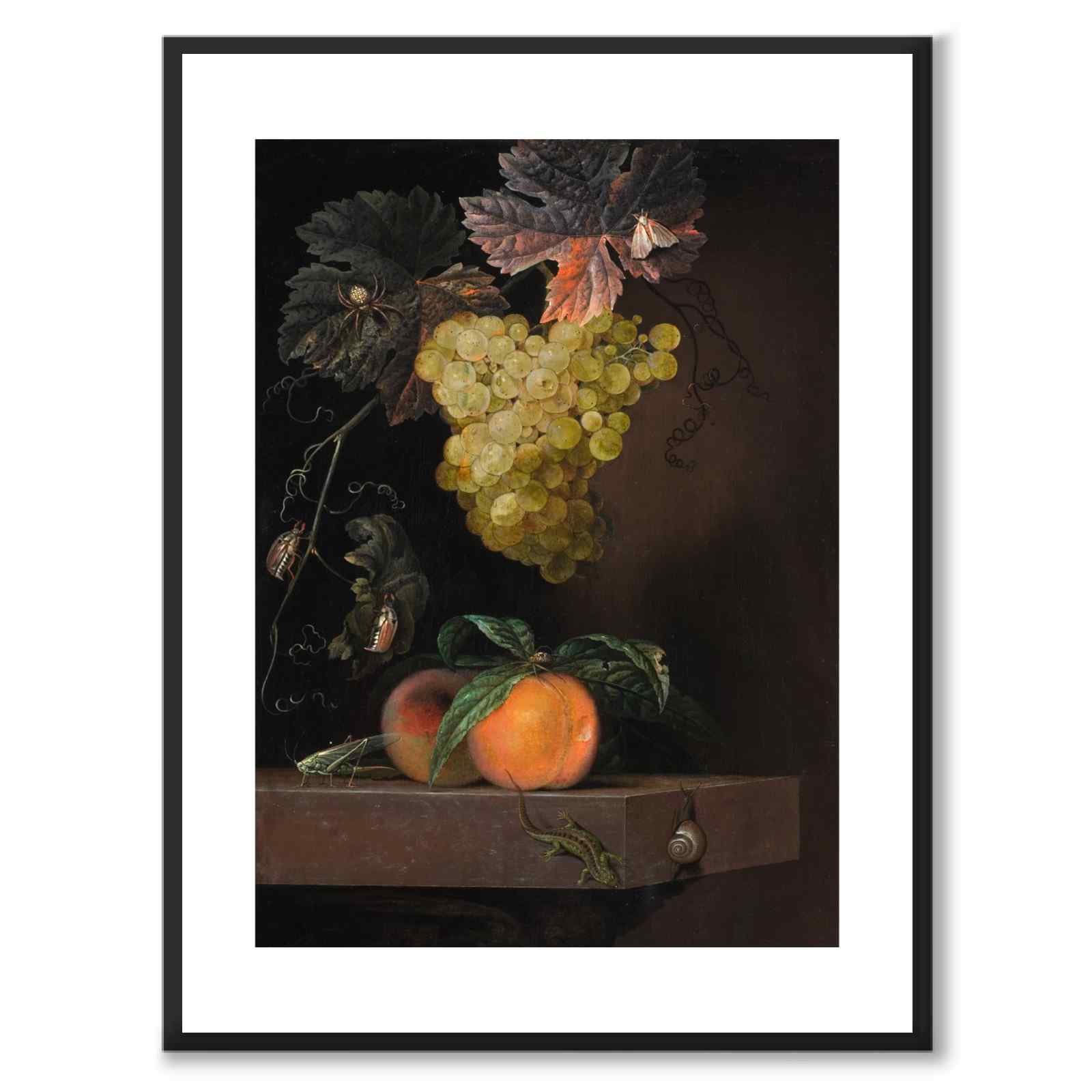 Still Life with Fruit, Lizard and Insects as an art poster from Historly – with white border without title