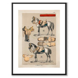 Camille som vintageillustration och poster från Historly – med vit kant utan titel