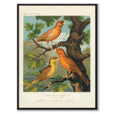 Cassel som vintageillustration och poster från Historly – helbild utan vit kant