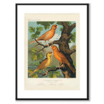 Cassel som vintageillustration och poster från Historly – med vit kant utan titel