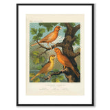 Cassel som vintageillustration och poster från Historly – med vit kant utan titel