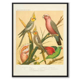 Cassel as a vintage illustration and poster from Historly – full image without white border