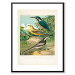 Cassel as a vintage illustration and poster from Historly – with white border without title