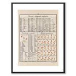 Nautical as a vintage illustration and poster from Historly – with white border without title