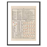 Nautical as a vintage illustration and poster from Historly – with white border without title