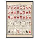 Nautical as a vintage illustration and poster from Historly – full image without white border