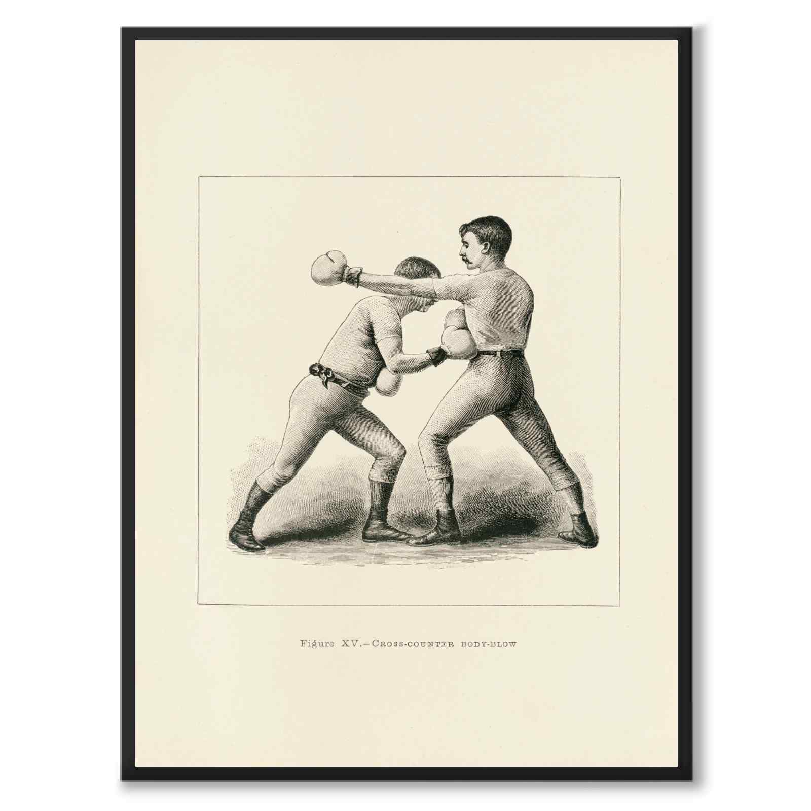Boxing as a vintage illustration and poster from Historly – full image without white border