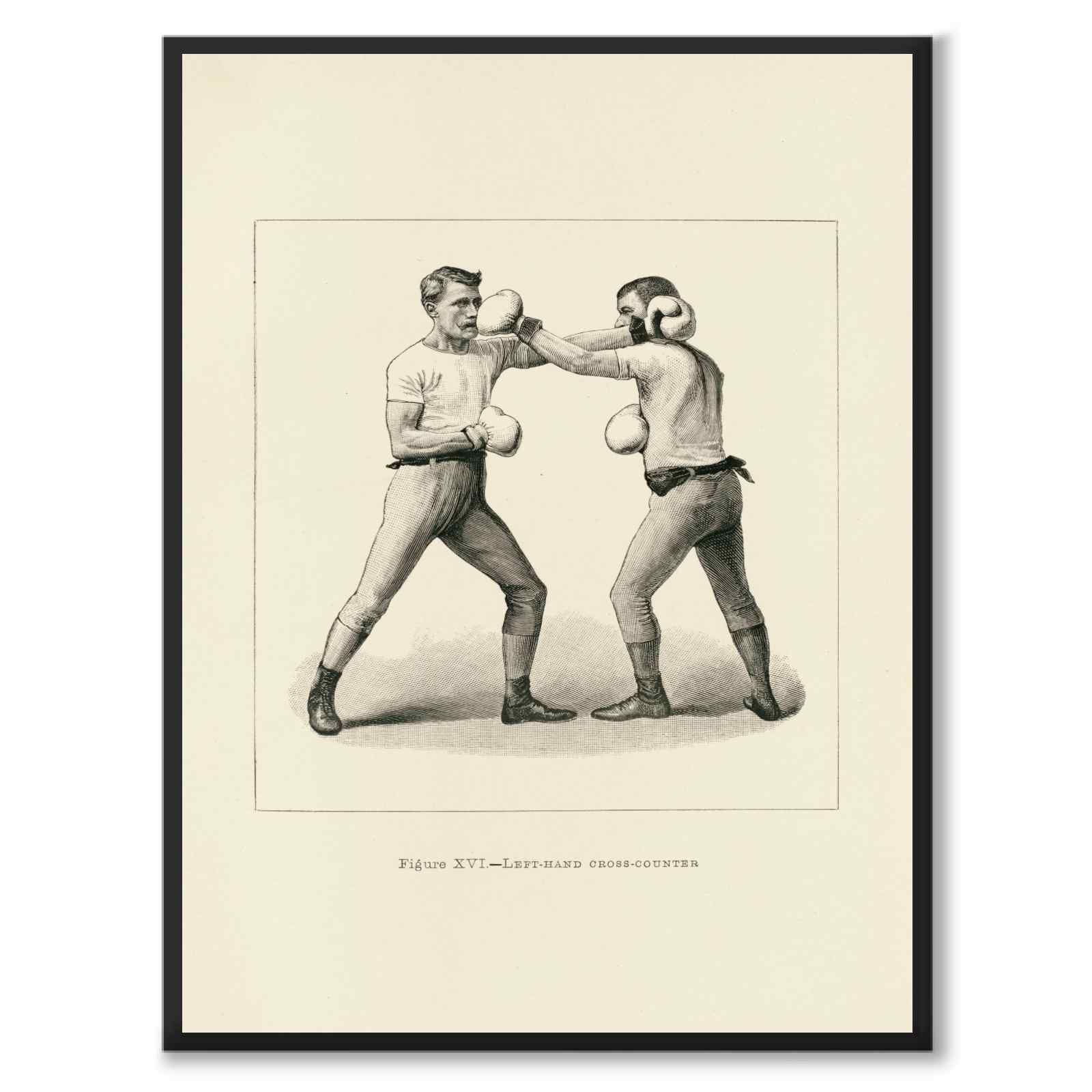 Boxing as a vintage illustration and poster from Historly – full image without white border