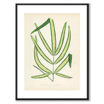 Lowe som vintageillustration och poster från Historly – med vit kant utan titel