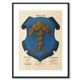 Blekinges Landskapsvapen som vintageillustration och poster från Historly – med vit kant utan titel