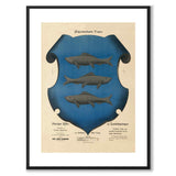 The coat of arms of Ångermanland as a vintage illustration and poster from Historly – with white border without title