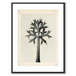 Blossfeldt as a vintage illustration and poster from Historly – with white border without title